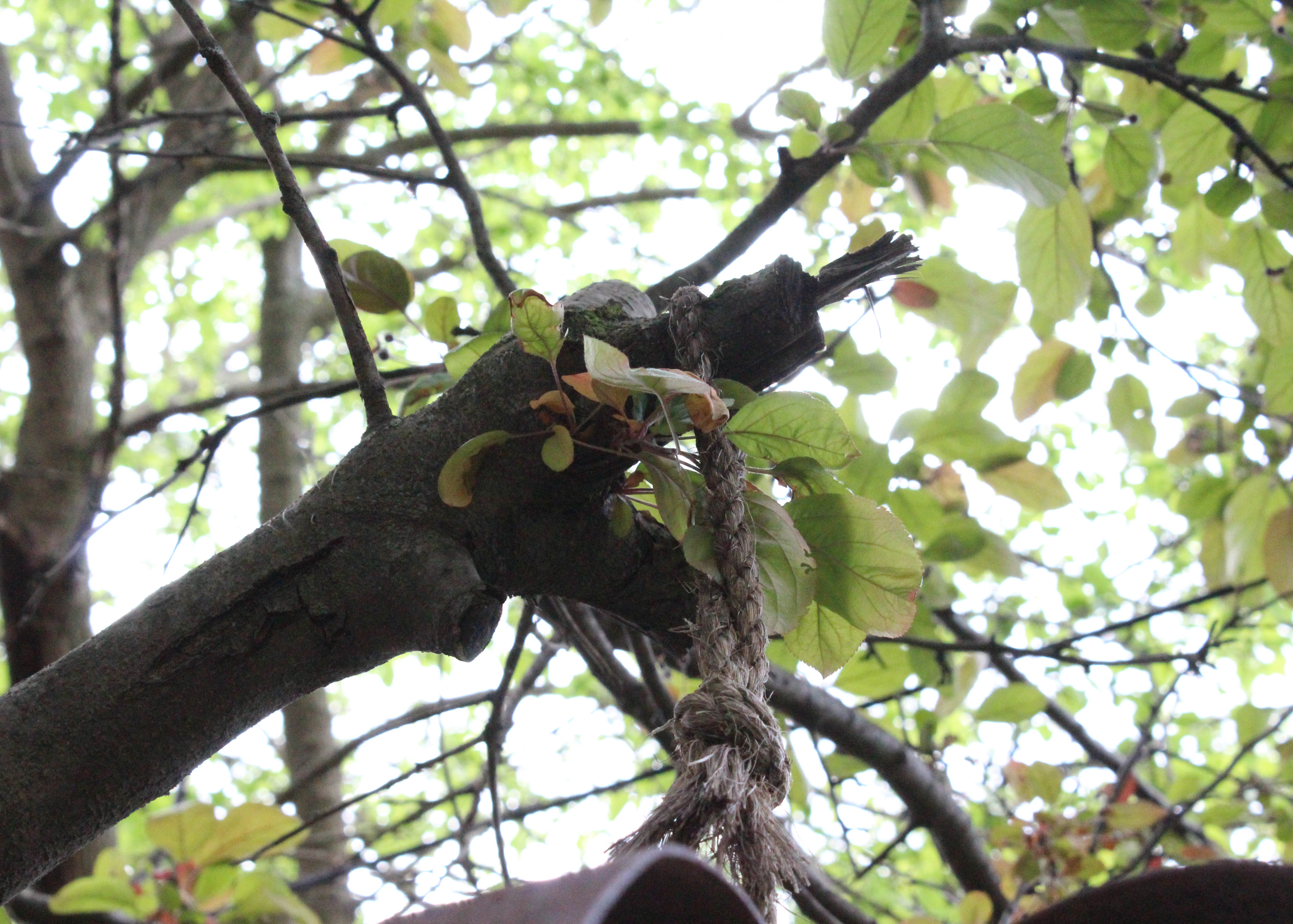 Wrought Iron Hanging Globe