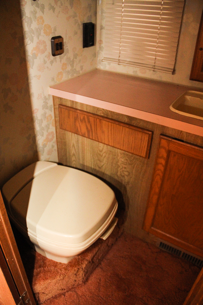 1987 Pace Arrow by Fleetwood Motorhomes