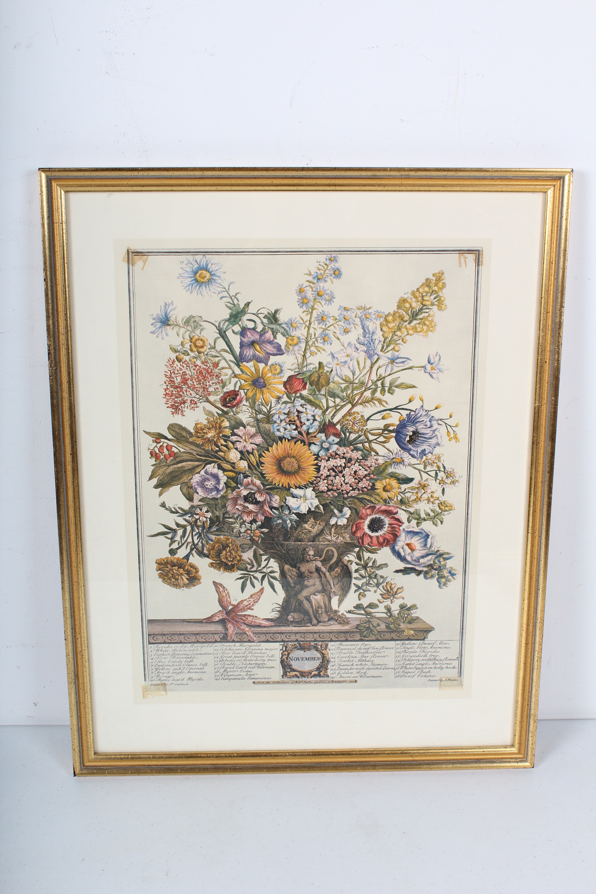 Two Robert Furber Offset Lithographs Of Botanical Months February and November