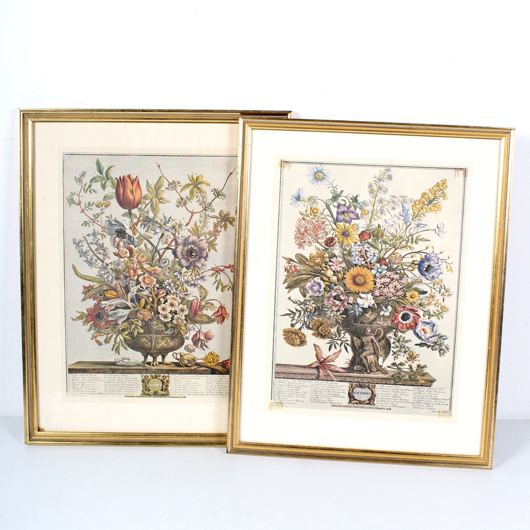 Two Robert Furber Offset Lithographs Of Botanical Months February and November