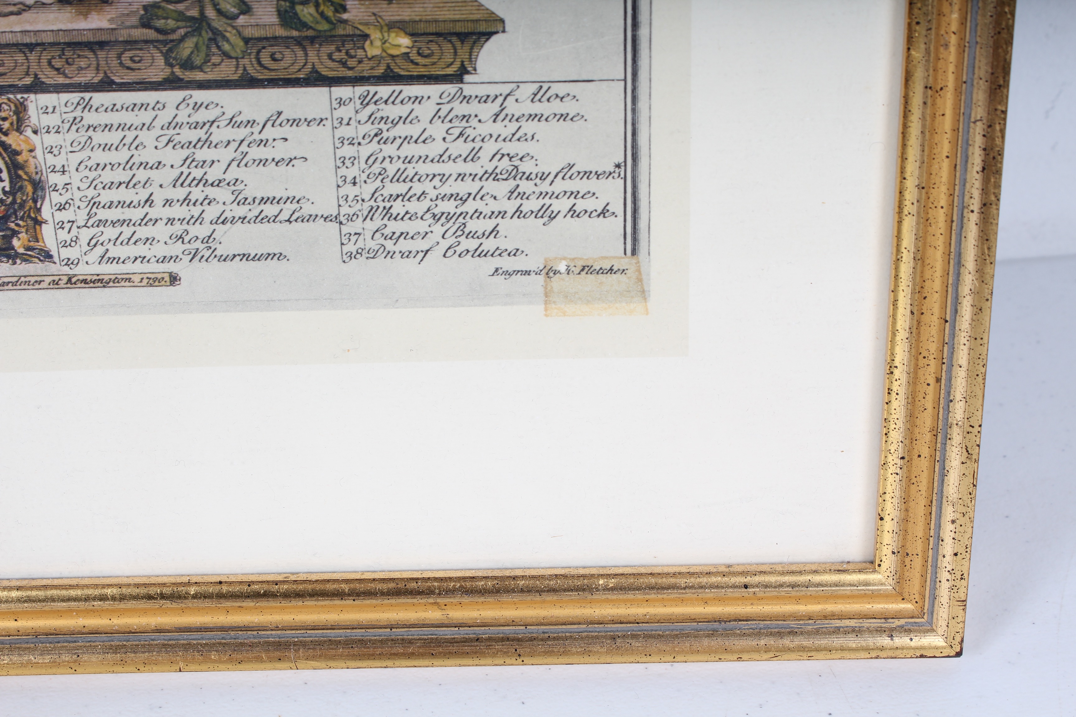 Two Robert Furber Offset Lithographs Of Botanical Months February and November