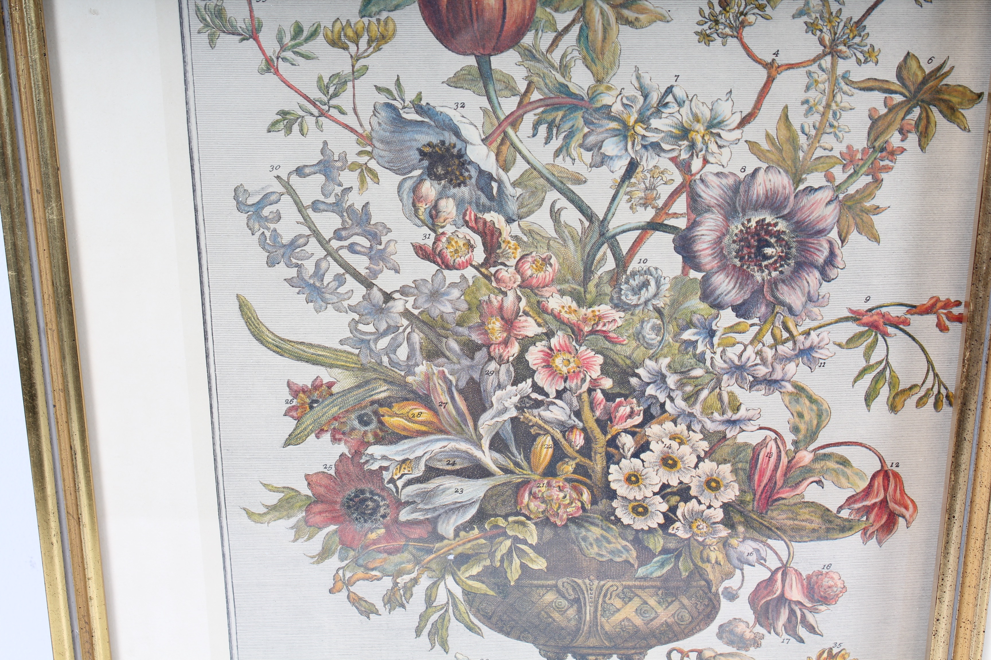 Two Robert Furber Offset Lithographs Of Botanical Months February and November