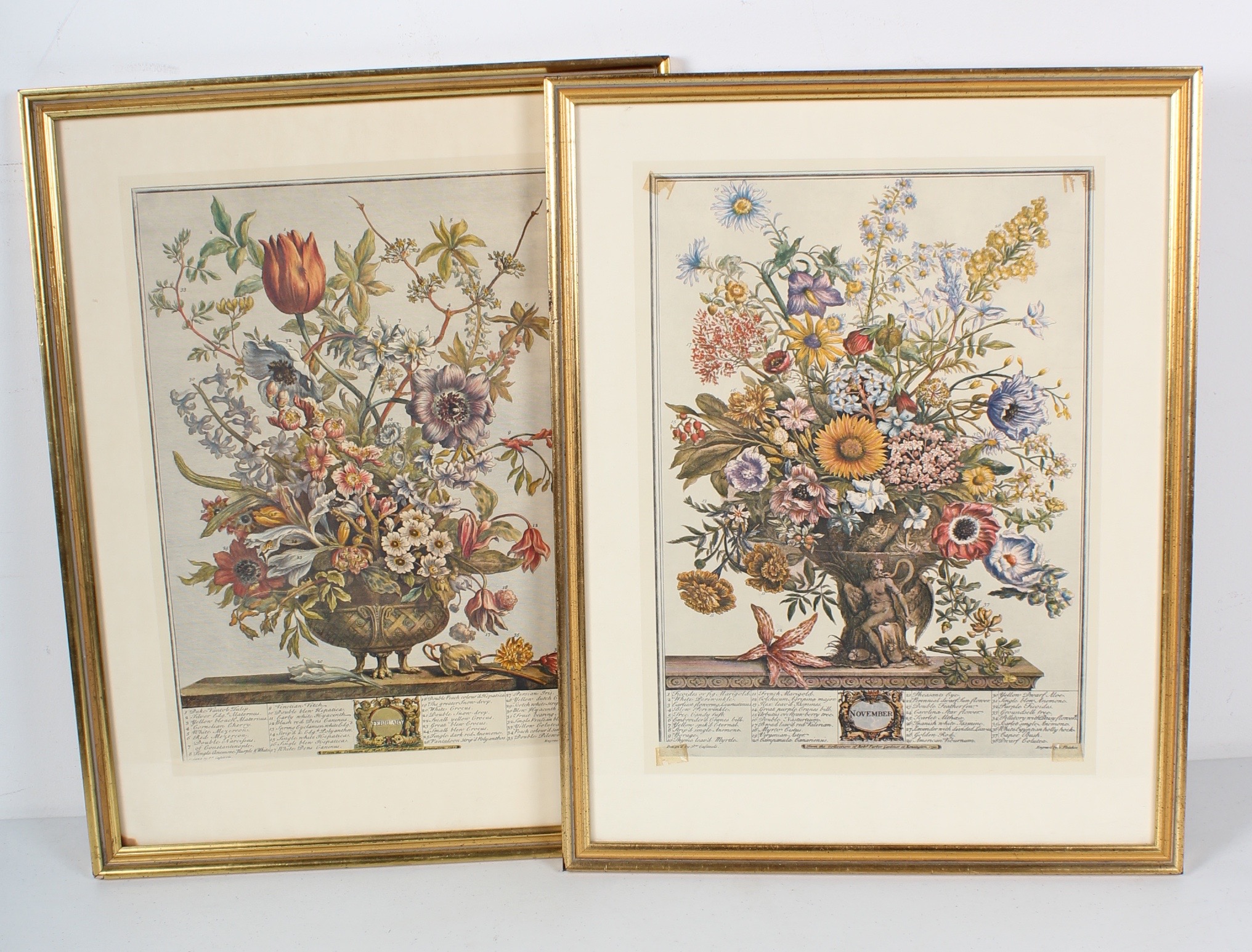 Two Robert Furber Offset Lithographs Of Botanical Months February and November