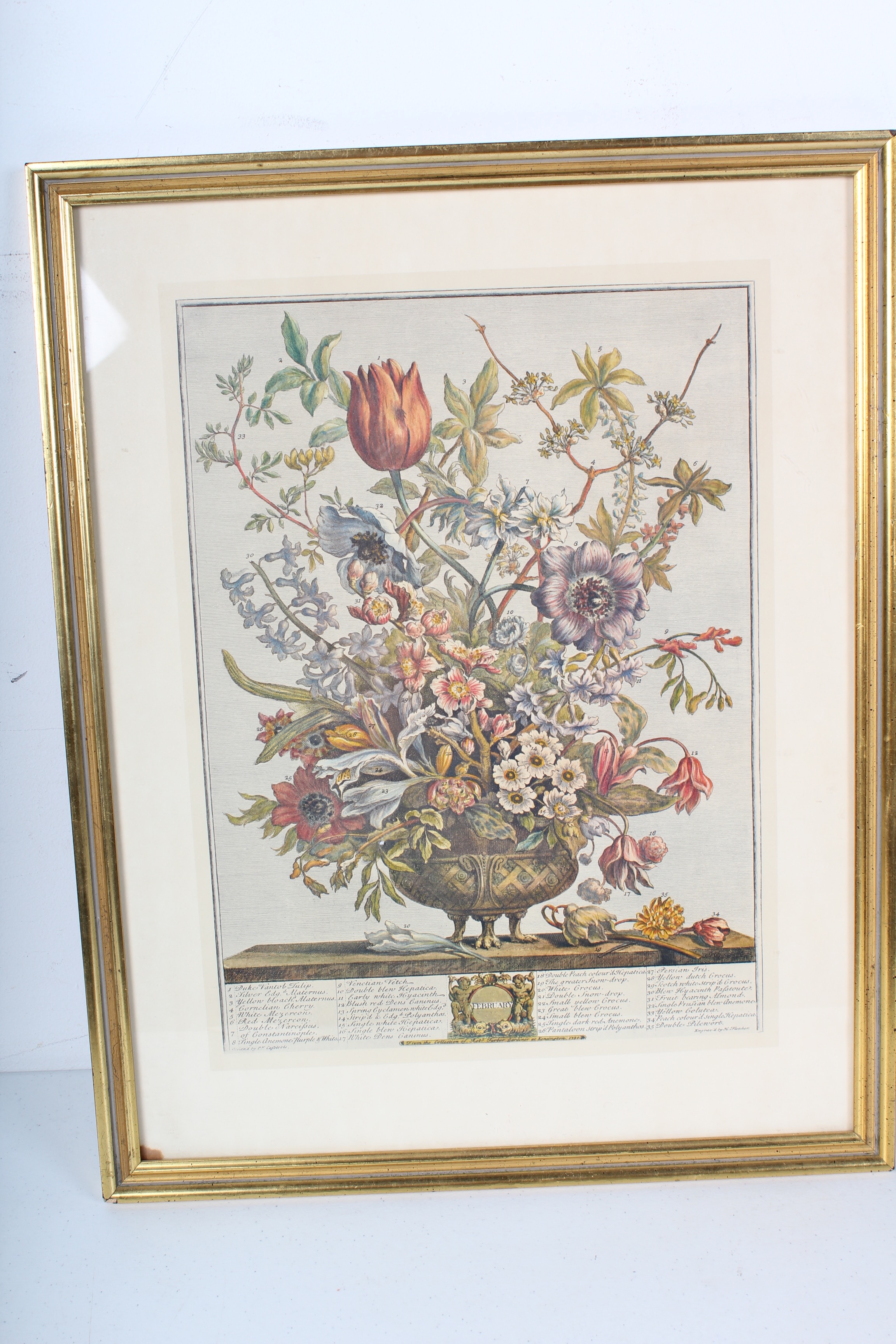Two Robert Furber Offset Lithographs Of Botanical Months February and November