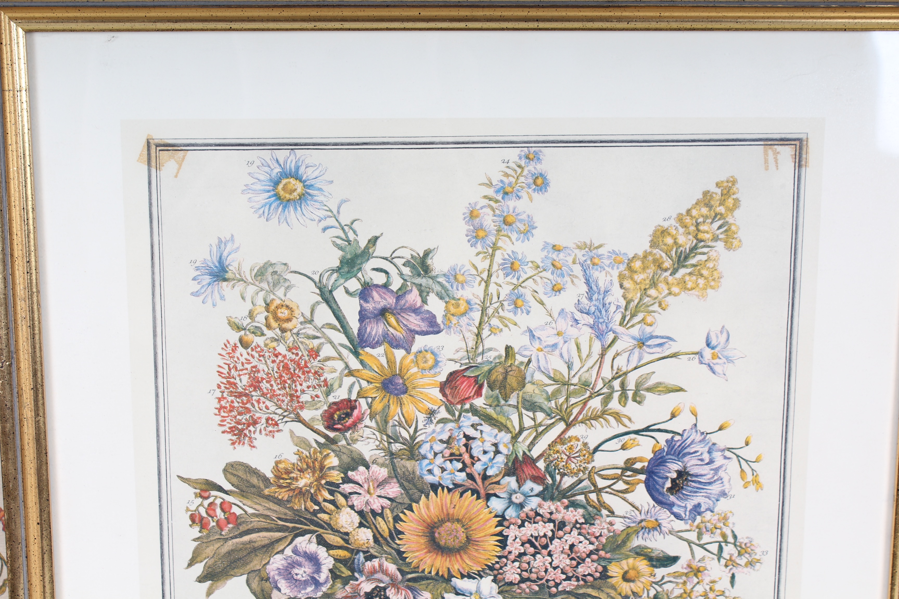 Two Robert Furber Offset Lithographs Of Botanical Months February and November