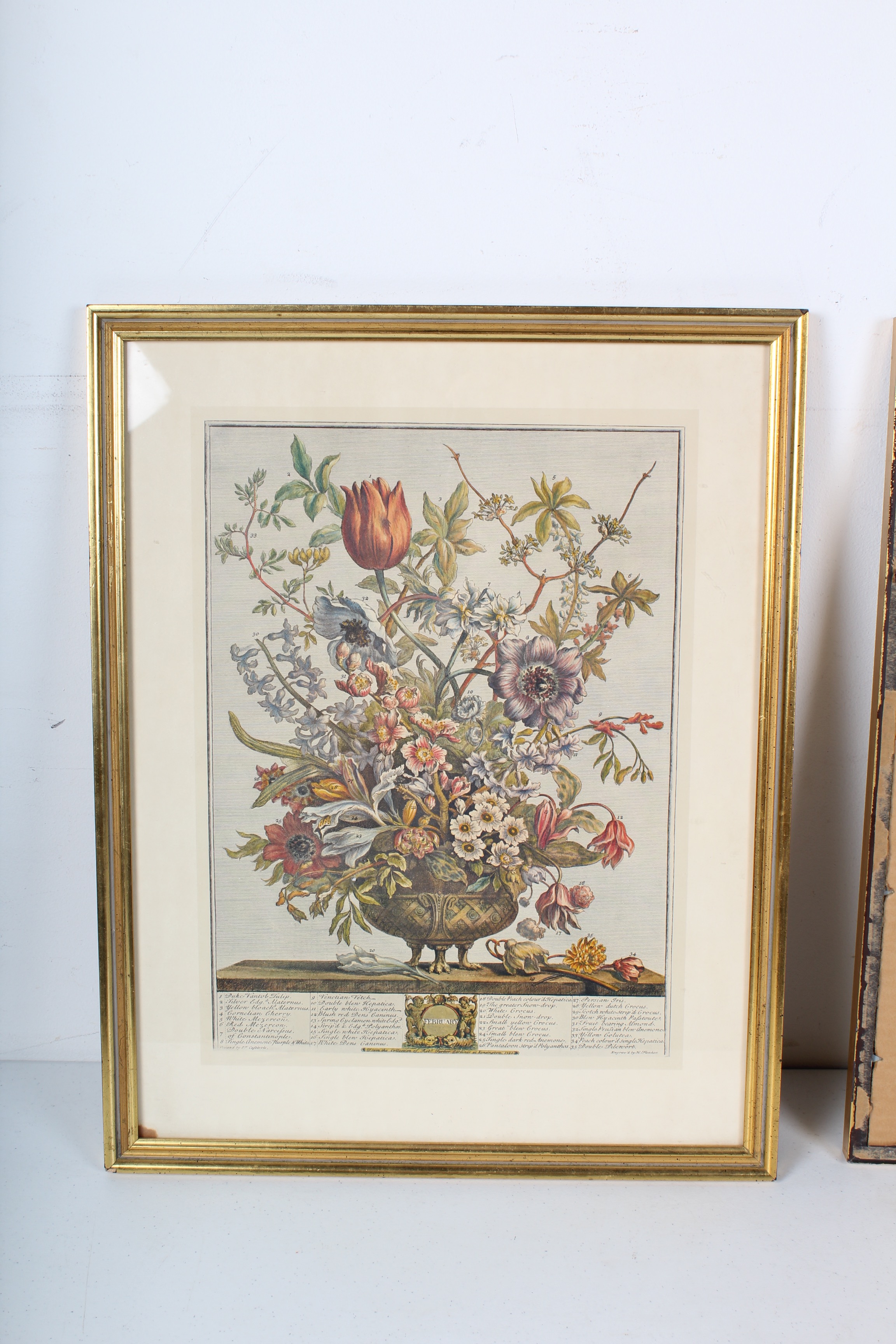 Two Robert Furber Offset Lithographs Of Botanical Months February and November
