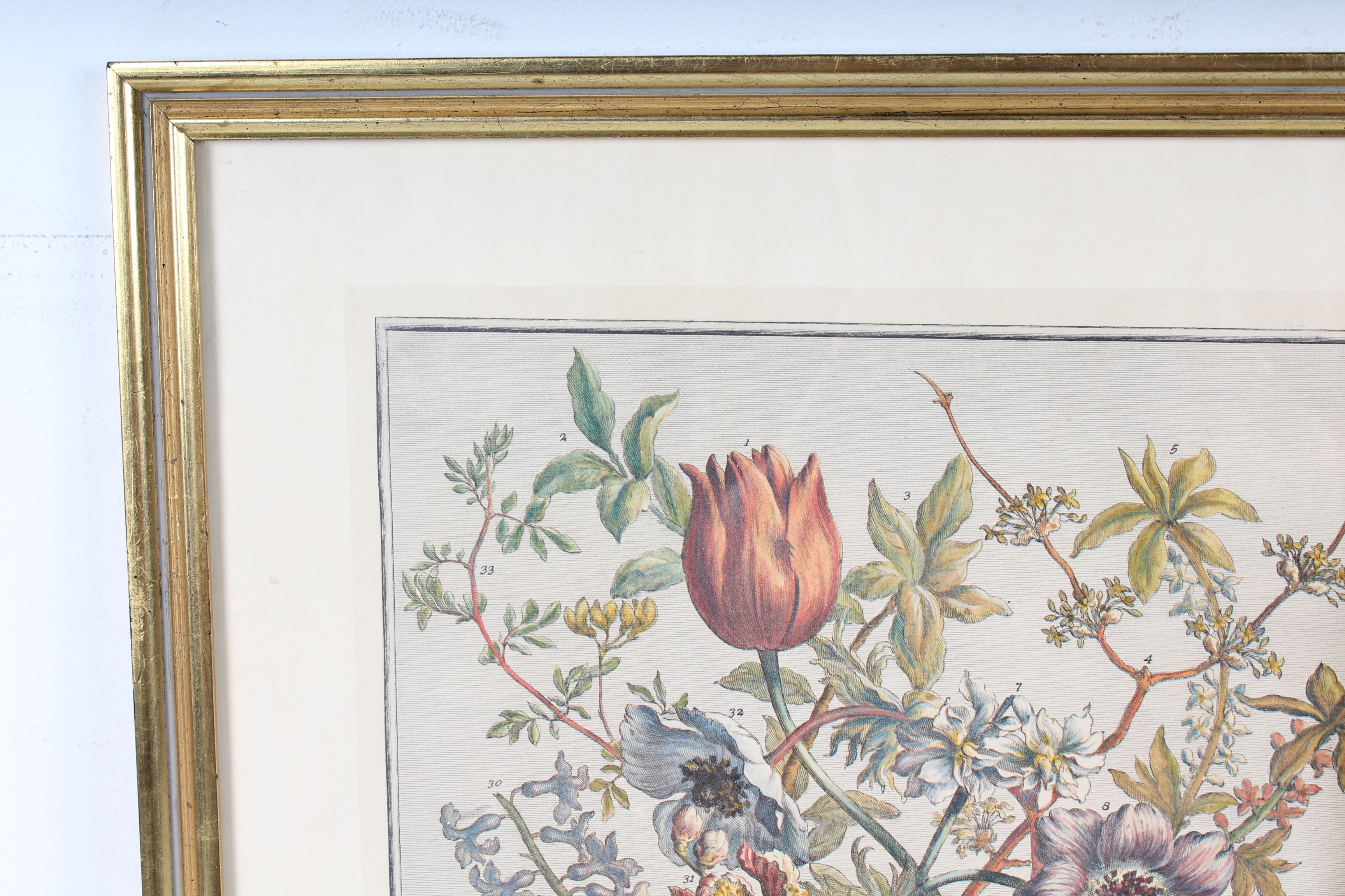 Two Robert Furber Offset Lithographs Of Botanical Months February and November
