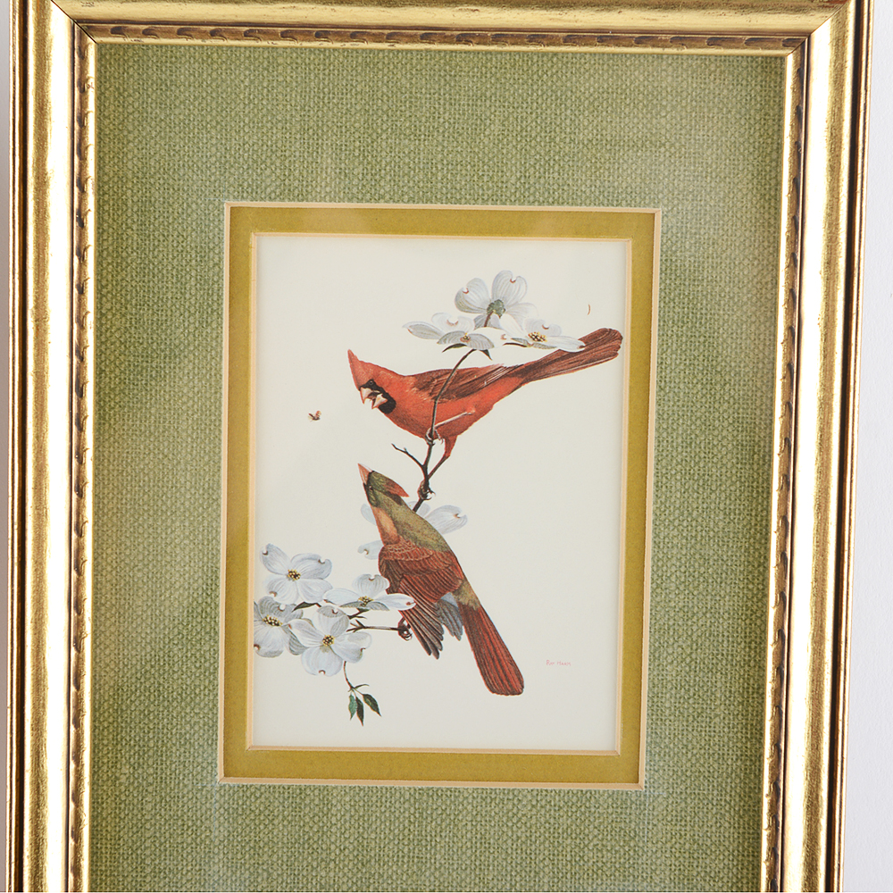 Floral and Bird Ray Harm Framed Prints
