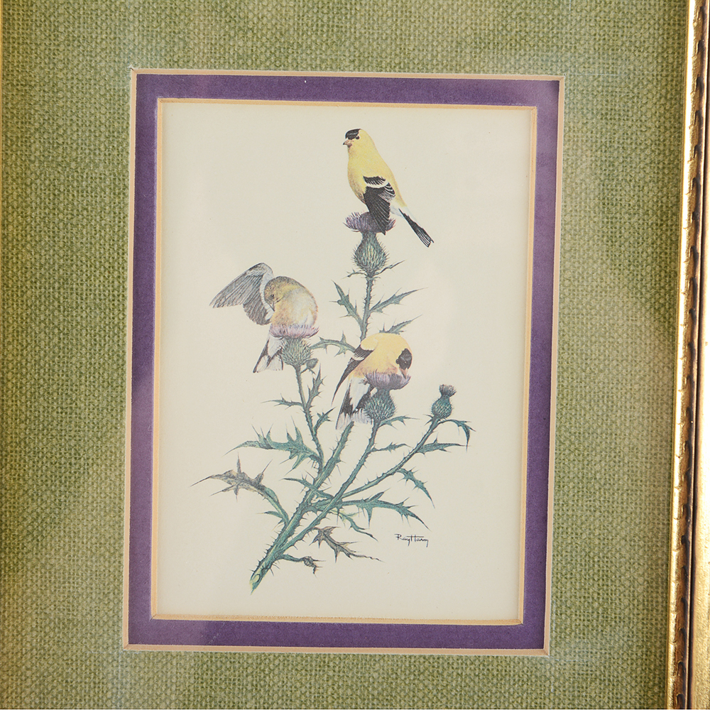 Floral and Bird Ray Harm Framed Prints