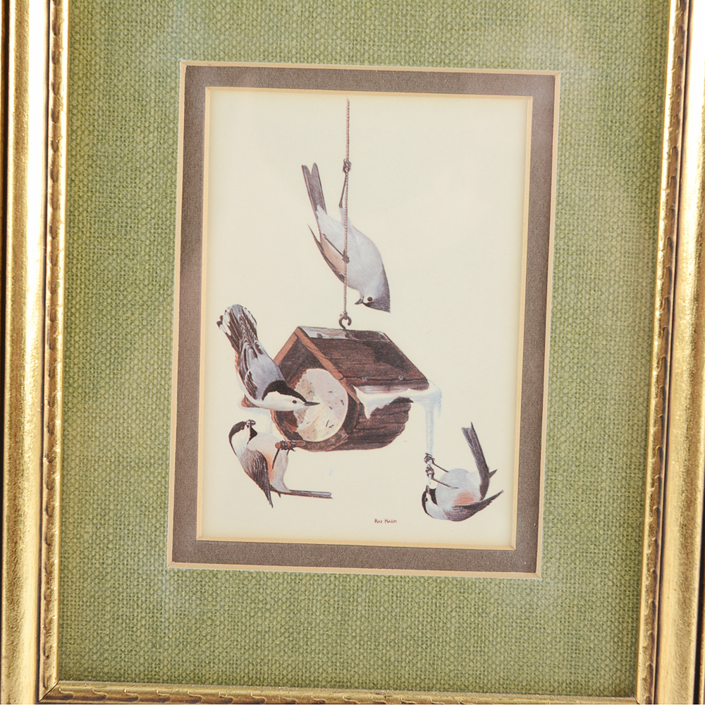 Floral and Bird Ray Harm Framed Prints