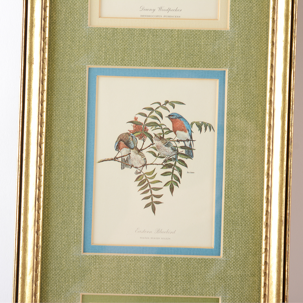 Floral and Bird Ray Harm Framed Prints