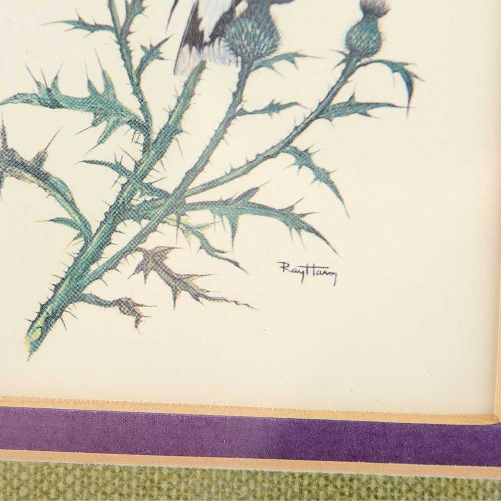 Floral and Bird Ray Harm Framed Prints