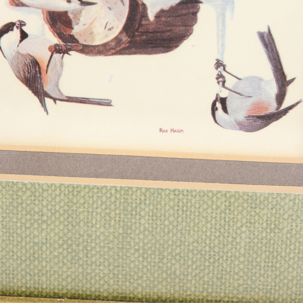 Floral and Bird Ray Harm Framed Prints