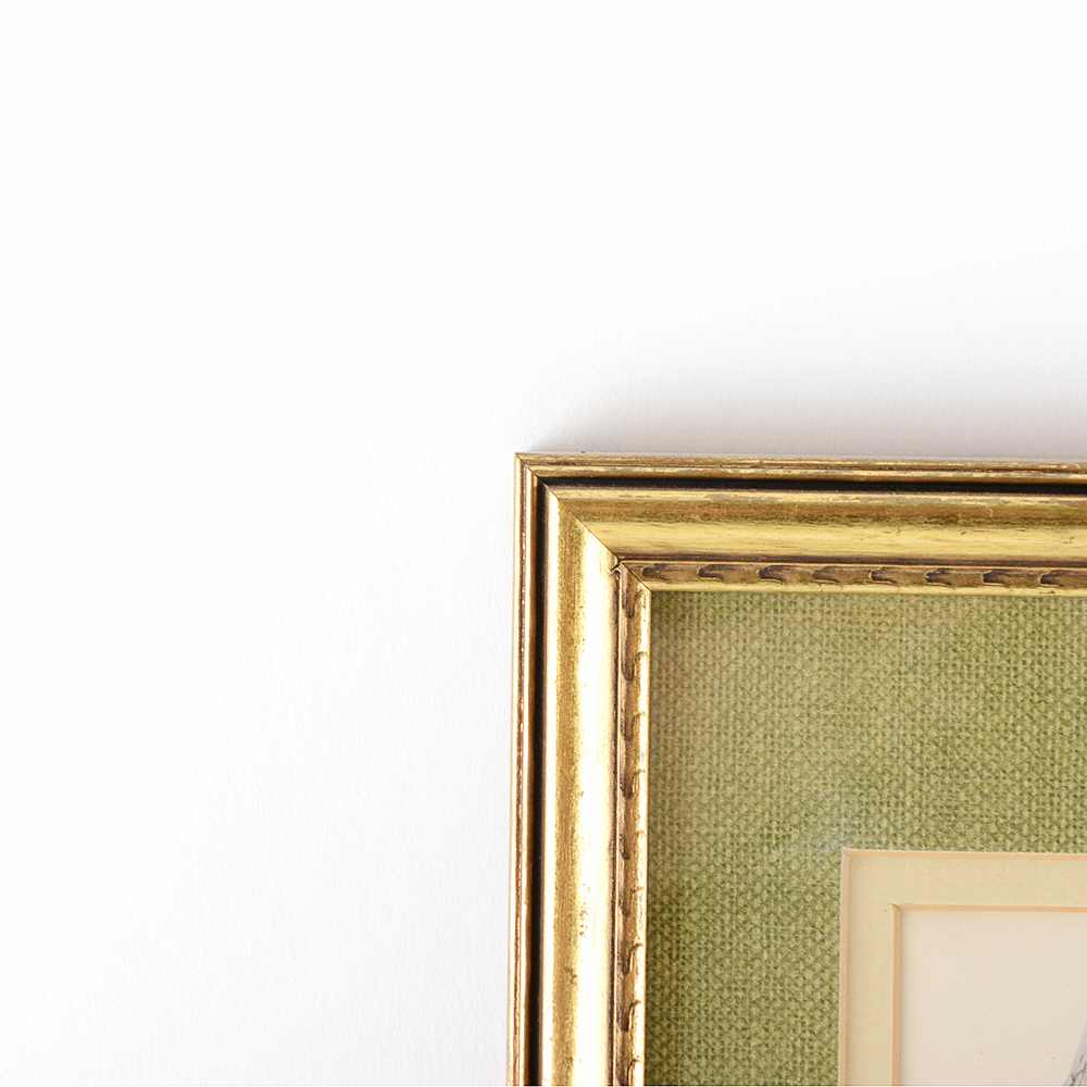 Floral and Bird Ray Harm Framed Prints