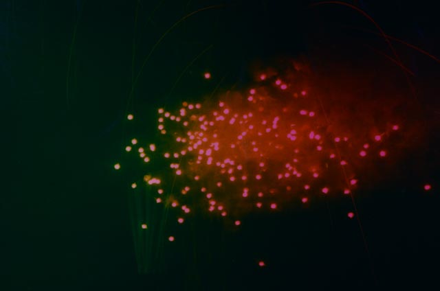 Todd Watts Dye Transfer Monoprint "Artifice and Artifact #24"