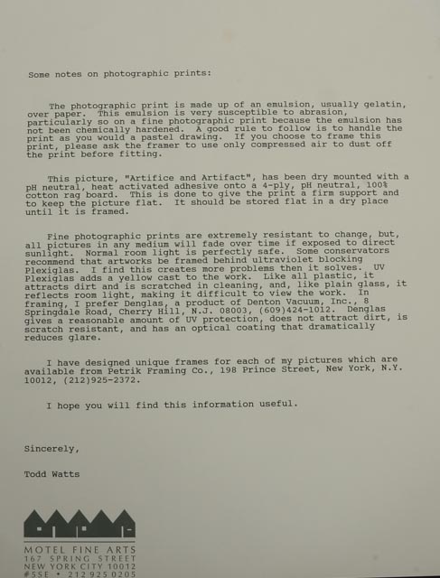 Todd Watts Dye Transfer Monoprint "Artifice and Artifact #24"