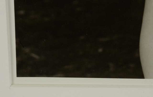 Jock Sturges Silver Gelatin Print "Maia, Arles, France"