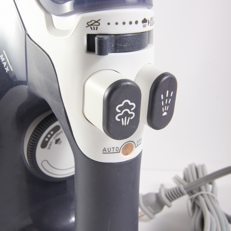 Rowenta Pro Master Iron