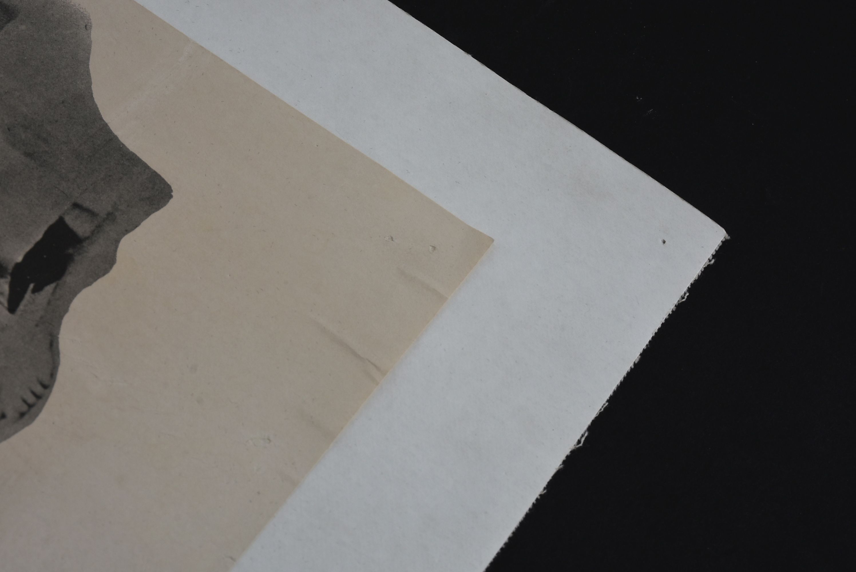 Offset Lithograph Poster of Two Virgins Album Cover