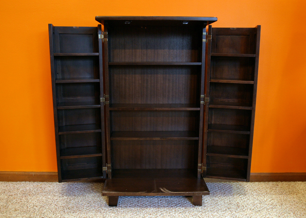 Contemporary DVD Cabinet