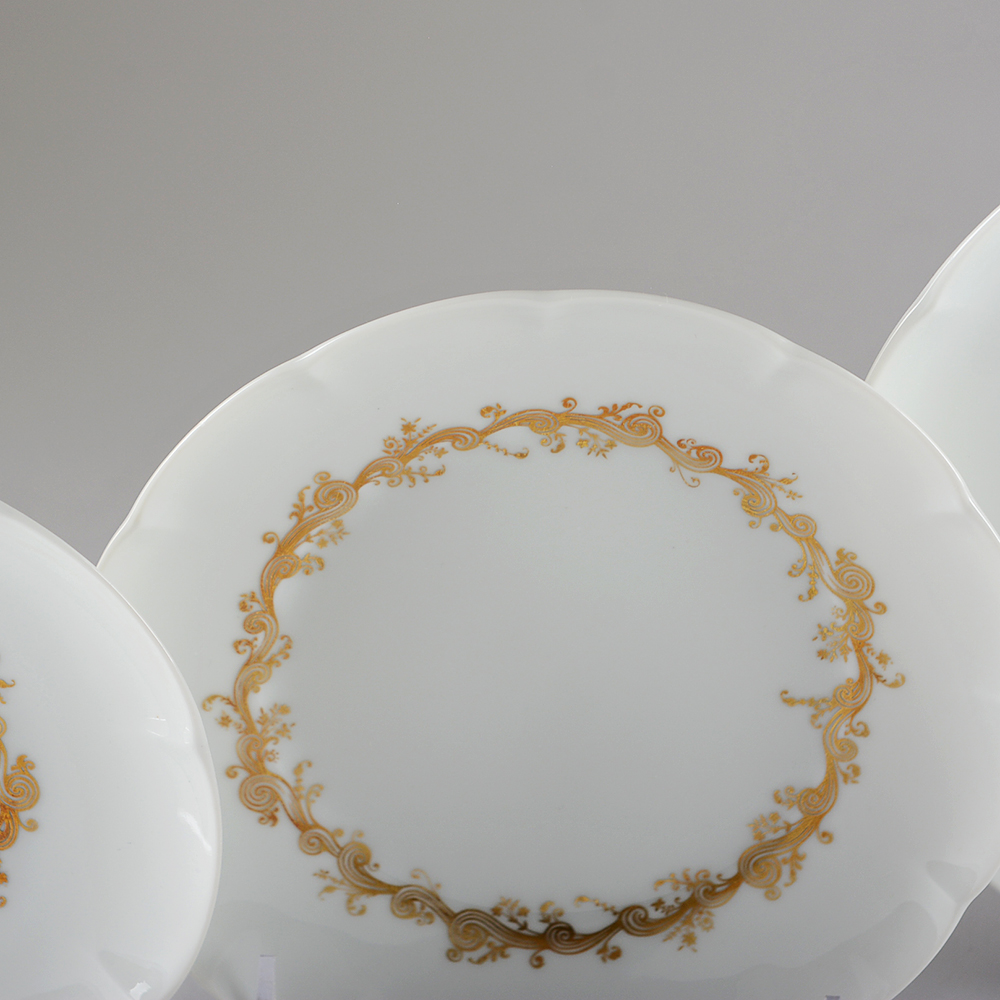 French Limoges Porcelain 'Liore' Set for 8 by Block
