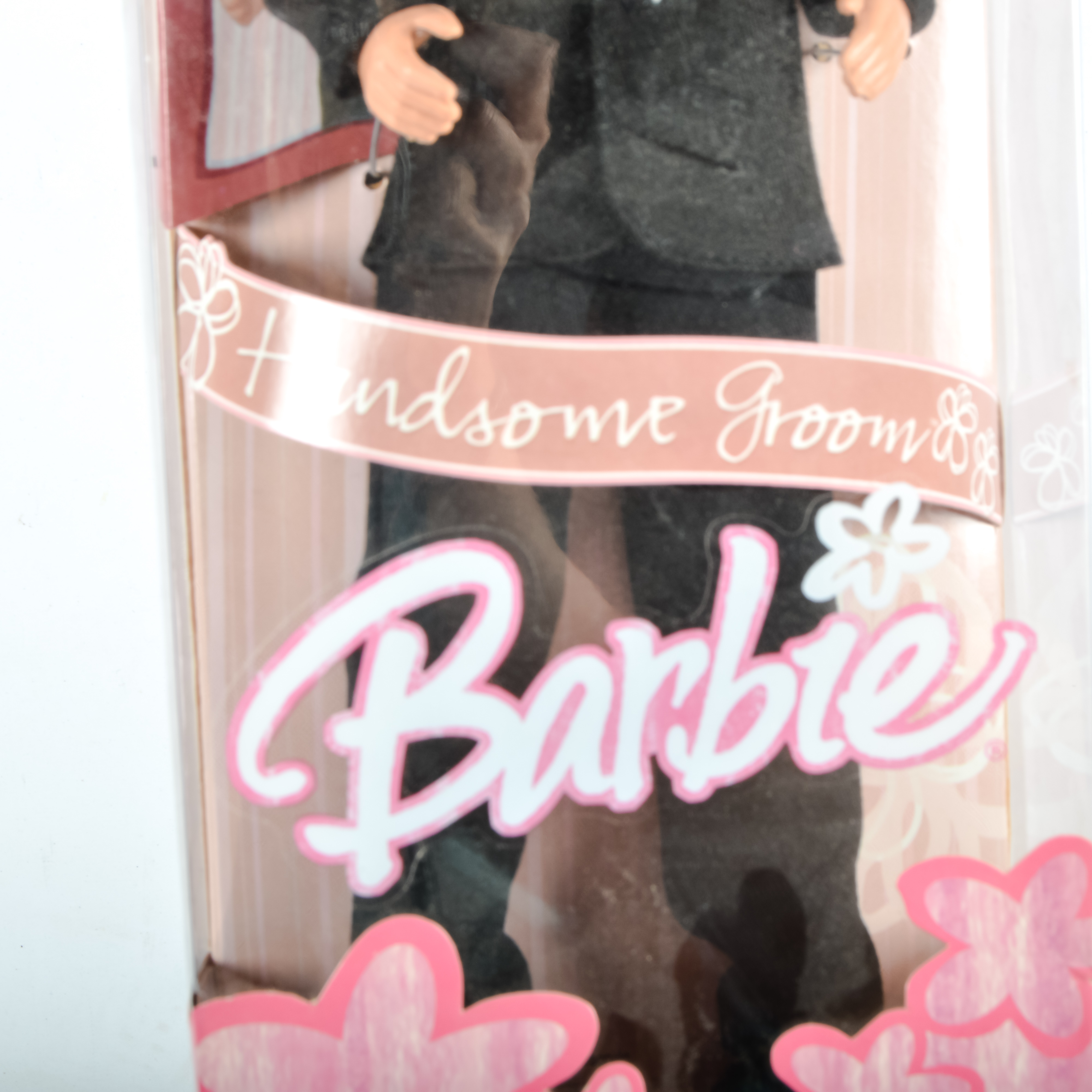 Princess and Swan Lake Barbie Dolls with Groom Ken and Outfits