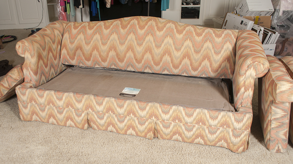 Sleeper Sofa with Microsuede Slipcover and Matching Cowhide Pillows