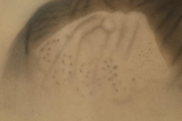 Pair of 19th-Century Albumen Portrait Photographs