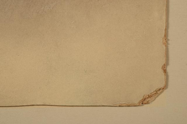 Pair of 19th-Century Albumen Portrait Photographs