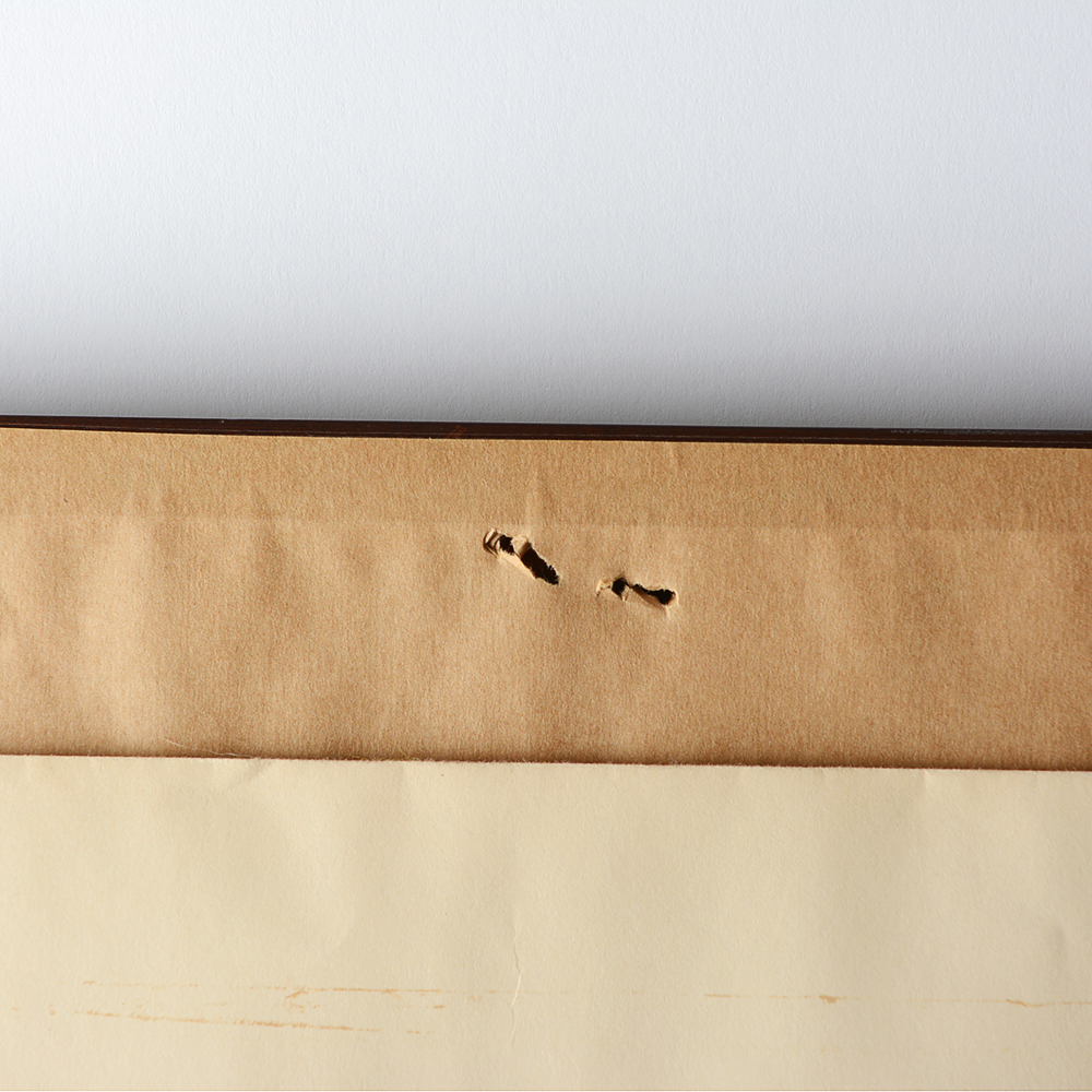 Signed Limited Edition "Double Trouble" Print By Charles Frace