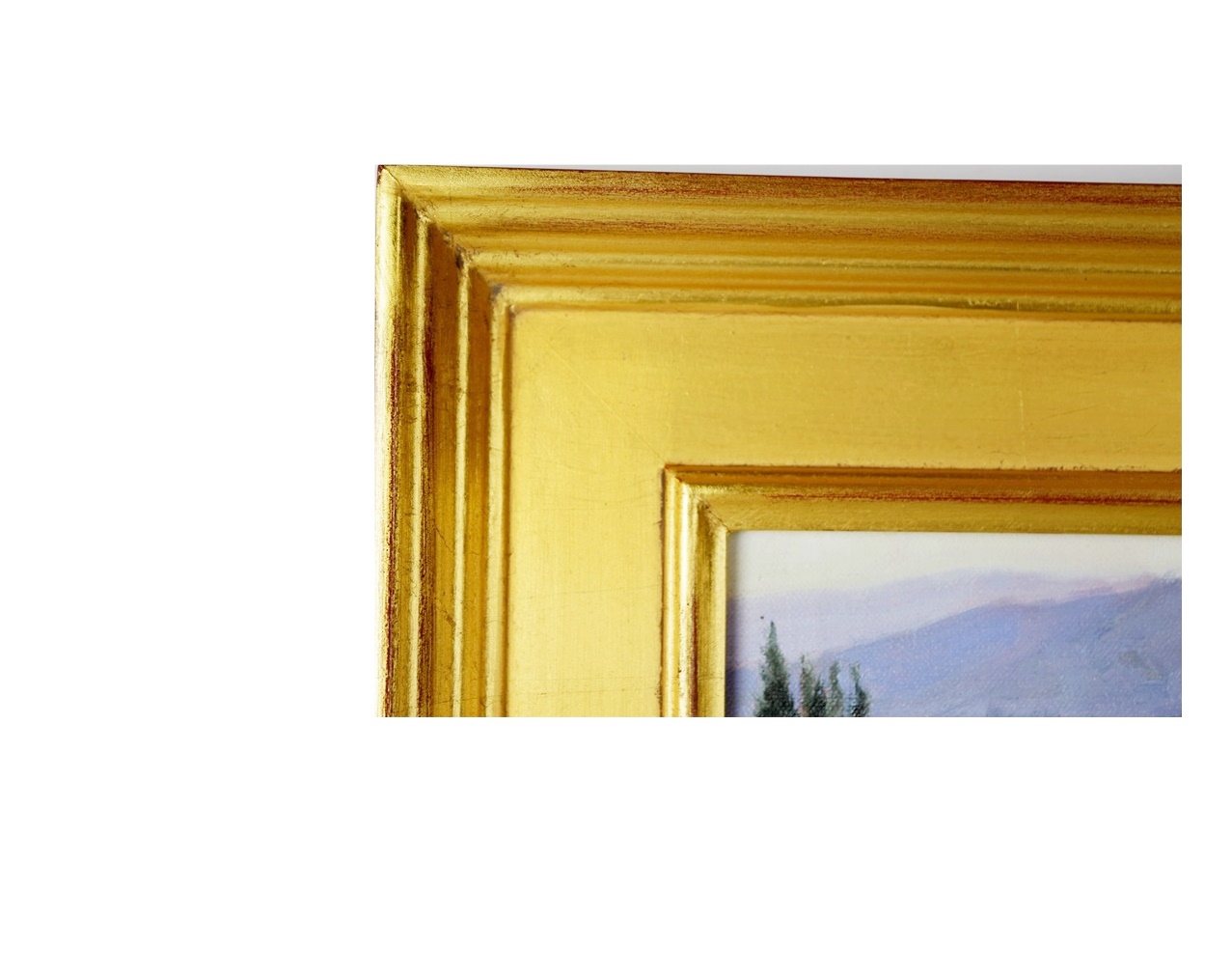 Original oil Painting Titled "View From Eus" by Diane Young, Framed