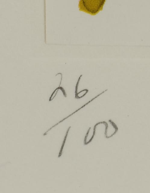 Claes Oldenburg LE Color Lithograph "Installation Study"