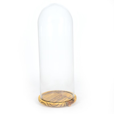 Large Glass Display Dome On Wooden Base Large Glass Display Dome On Wooden Base