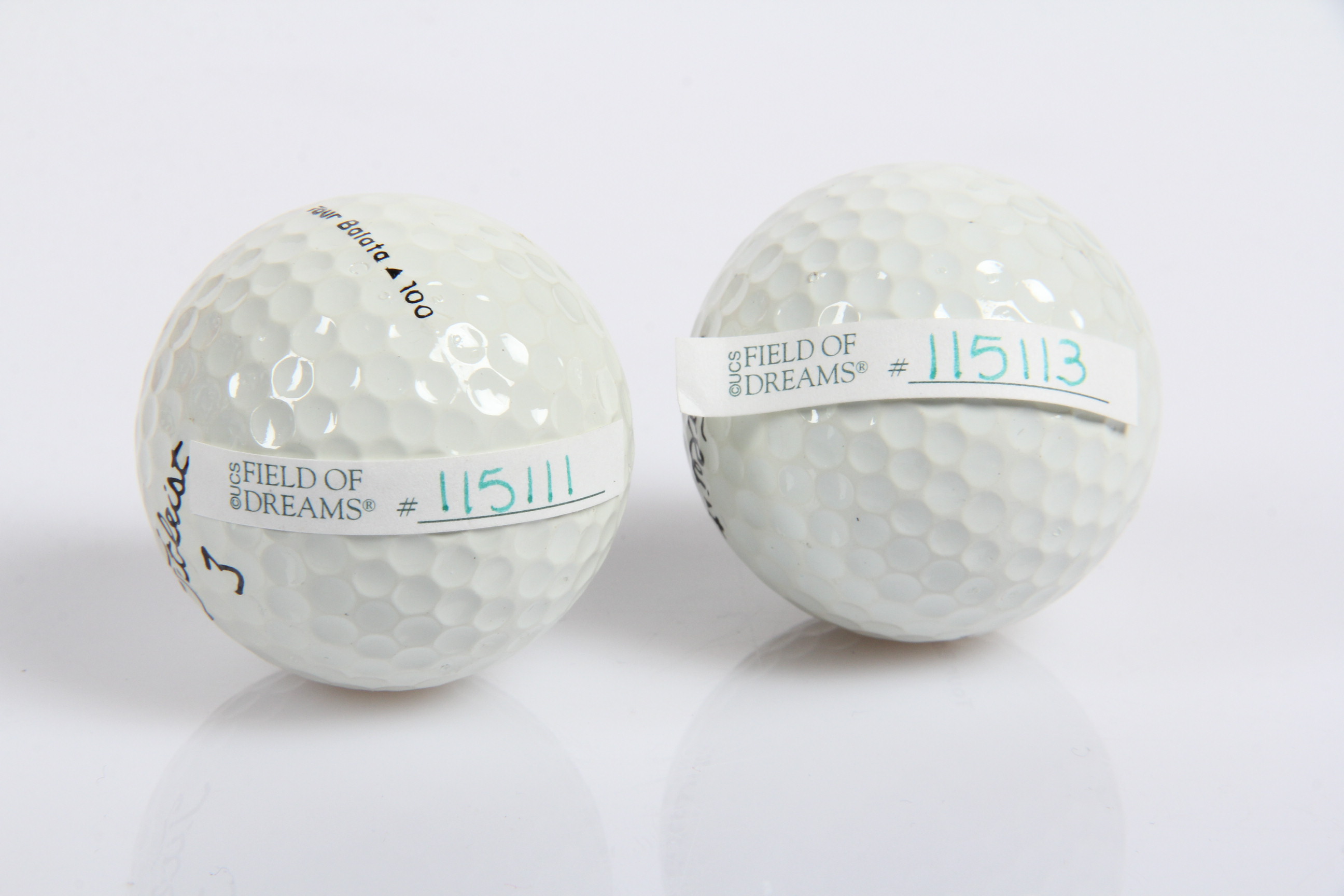 Pair of Tiger Woods Signed Golf Balls