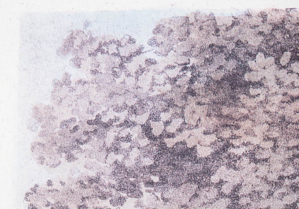 Framed Offset Lithograph of Engraving after "Christinehof" by Ulrik Thersner