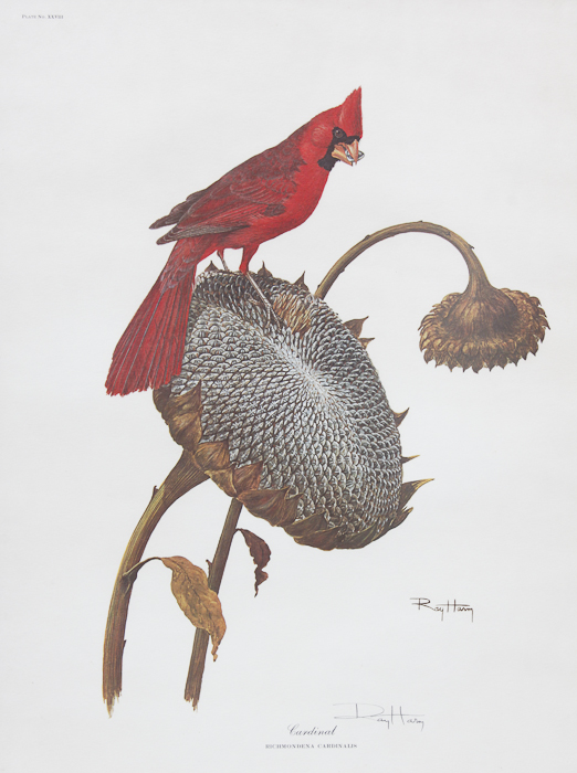 Signed Ray Harm "Cardinal" and Sunflower Print