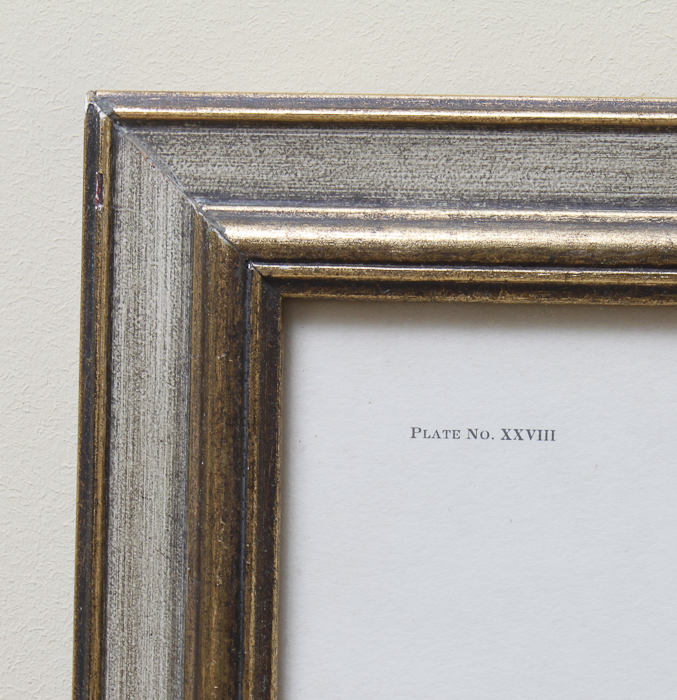 Signed Ray Harm "Cardinal" and Sunflower Print