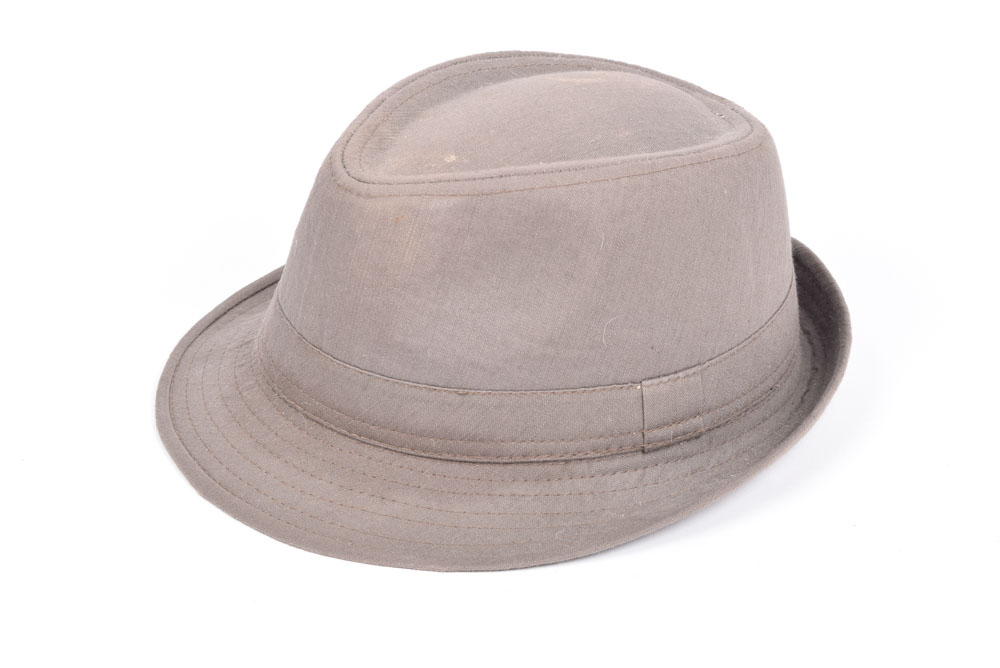 Collection of Trilby Casual Hats