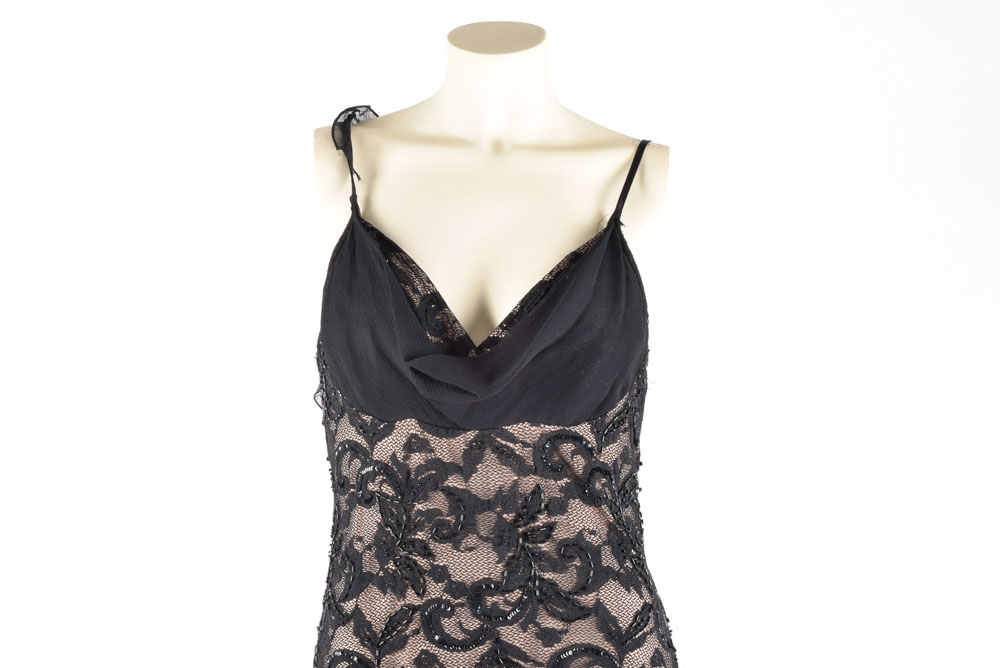 Beaded Lace Foliate Dress