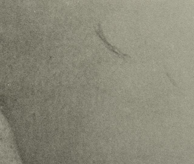 Man Ray Photo Print of Marcel Duchamp