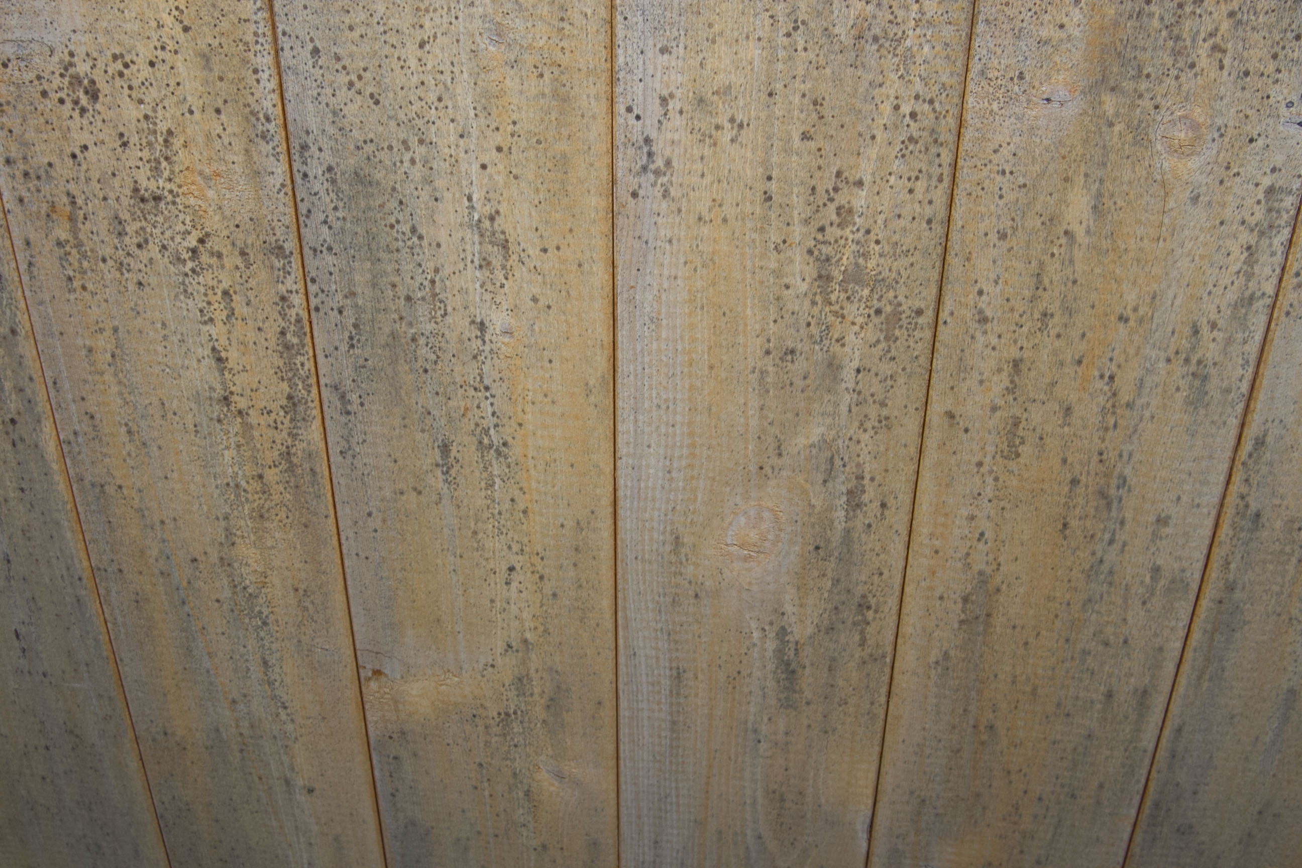 Suncast Outdoor Storage Bench