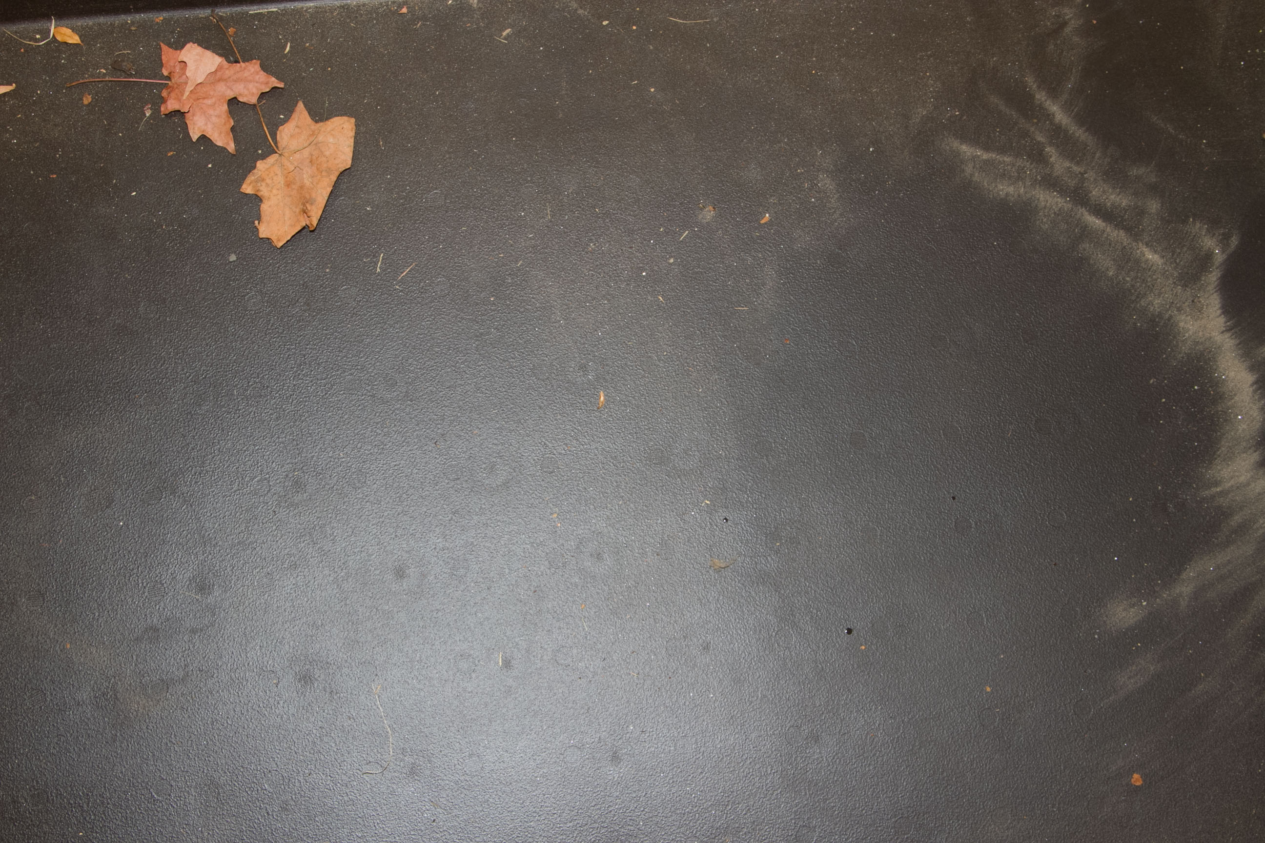 Suncast Outdoor Storage Bench