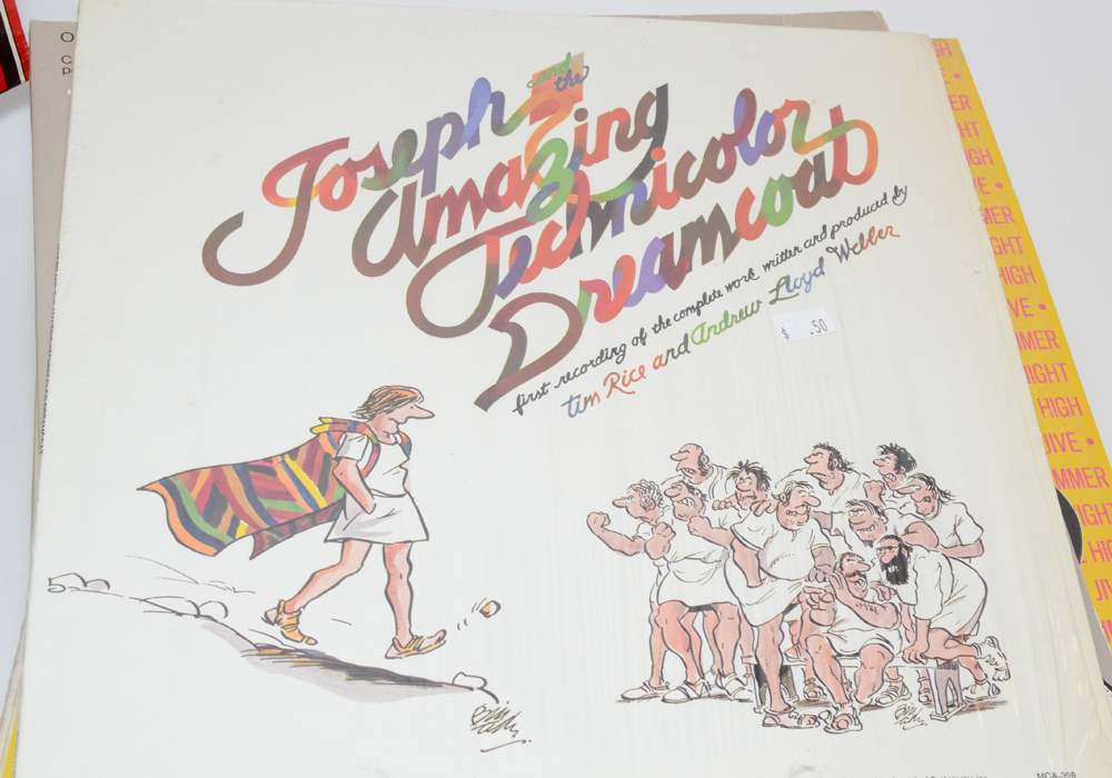 Collection of Show Tunes on Vinyl