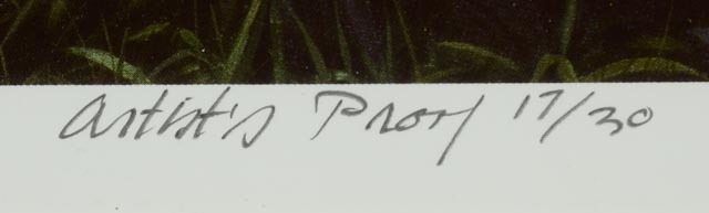 Carroll Jones III Artist's Proof Offset Lithograph "After the Rain"