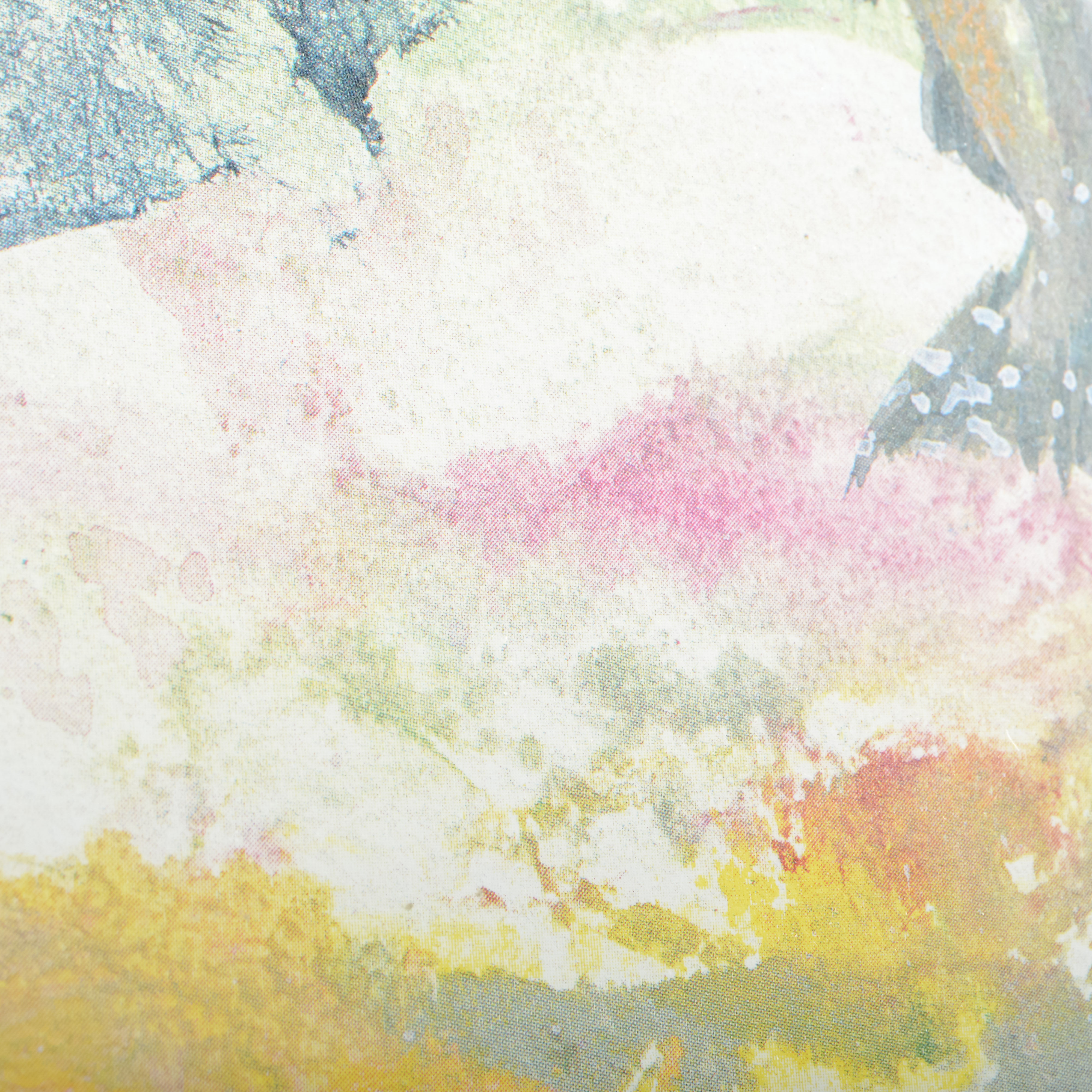 Framed Signed Offset Lithograph "Headwaters" by Betty Jo Fitzgerald