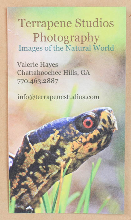 Pair of Black and White Floral Prints