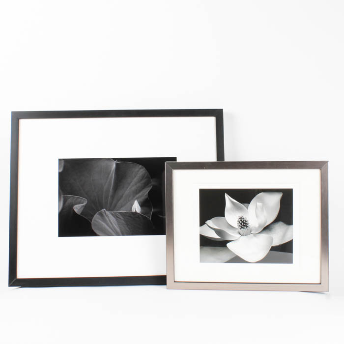 Pair of Black and White Floral Prints