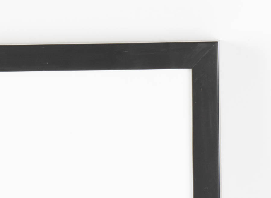 Pair of Black and White Floral Prints