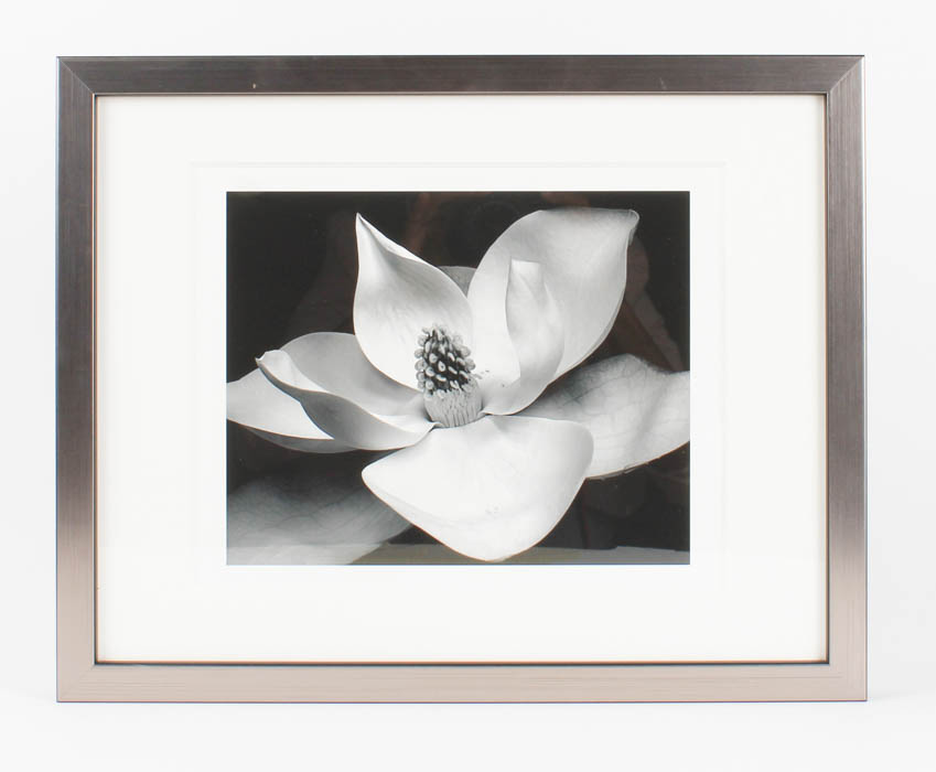 Pair of Black and White Floral Prints