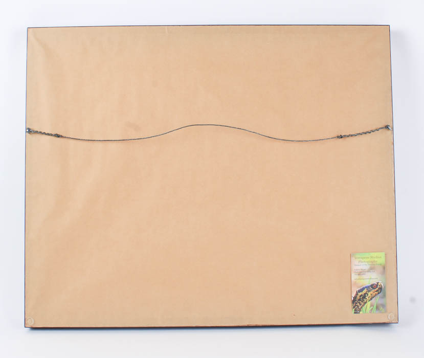 Pair of Black and White Floral Prints